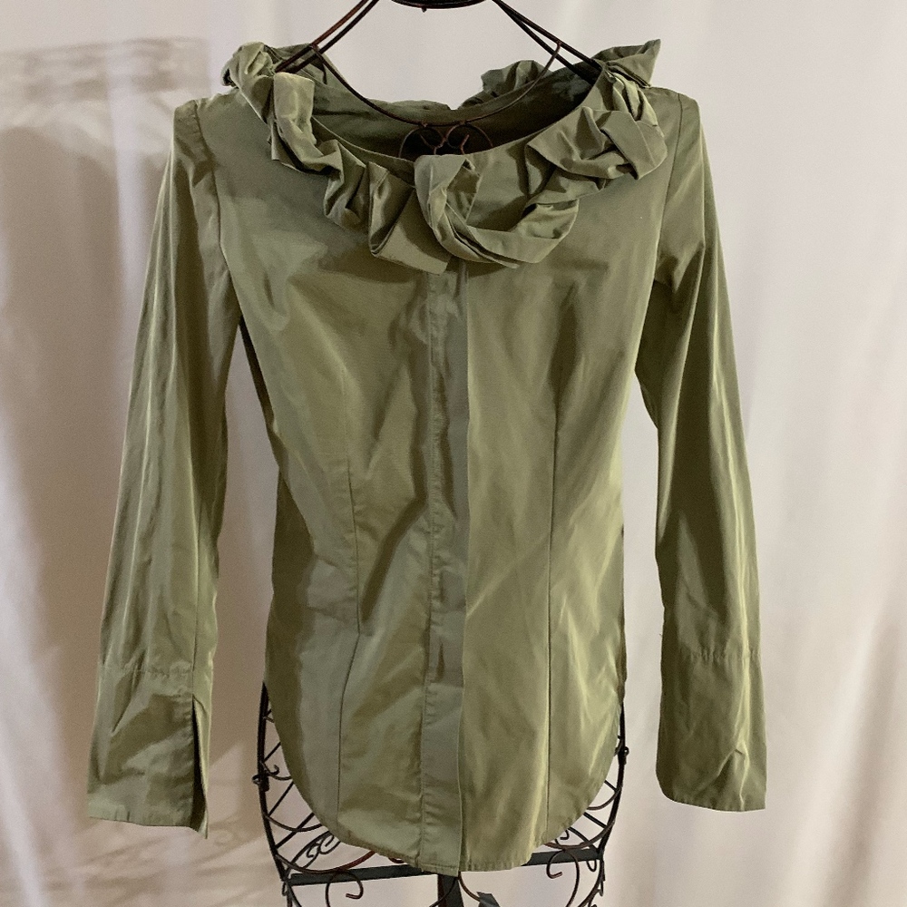 Ginger ( Celery color) Taffeta Long Sleeve Top-NWT